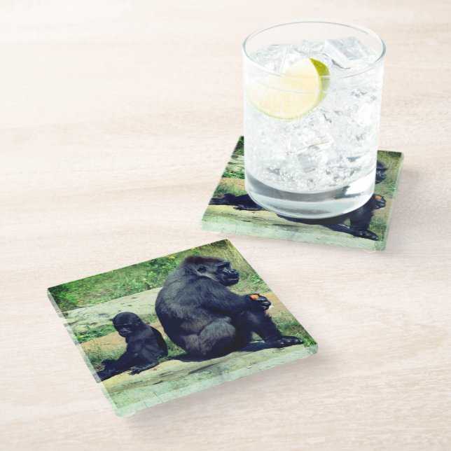 Gorillas Glass Coaster (Angled)