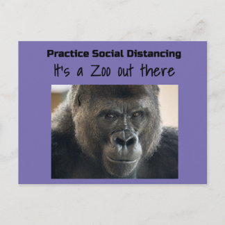 Gorillas in the Midst Corona Riot by Funnycomb Postcard