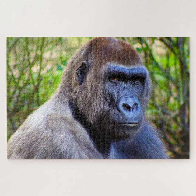 Gorillas. Jigsaw Puzzle (Horizontal)