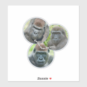 Gorillas Make Me Smile