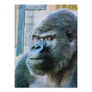 GORILLAS PHOTO PRINT