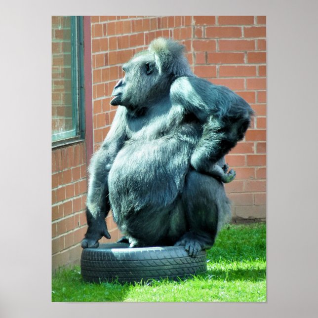 GORILLAS POSTER (Front)
