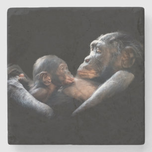 Gorillas Stone Coaster