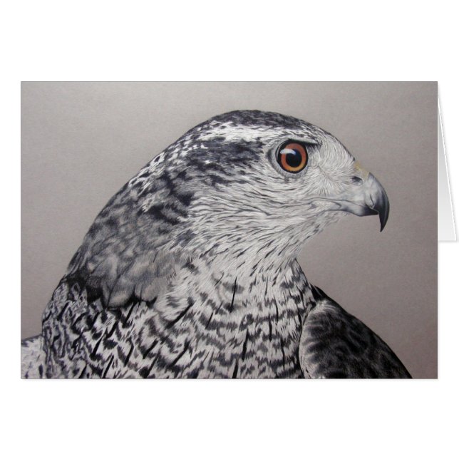 Goshawk Card (Front Horizontal)