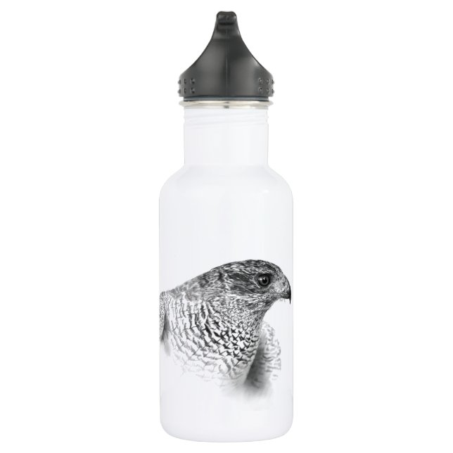 Goshawk Drawing 532 Ml Water Bottle (Right)