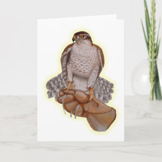 Goshawk Greeting Card. Card