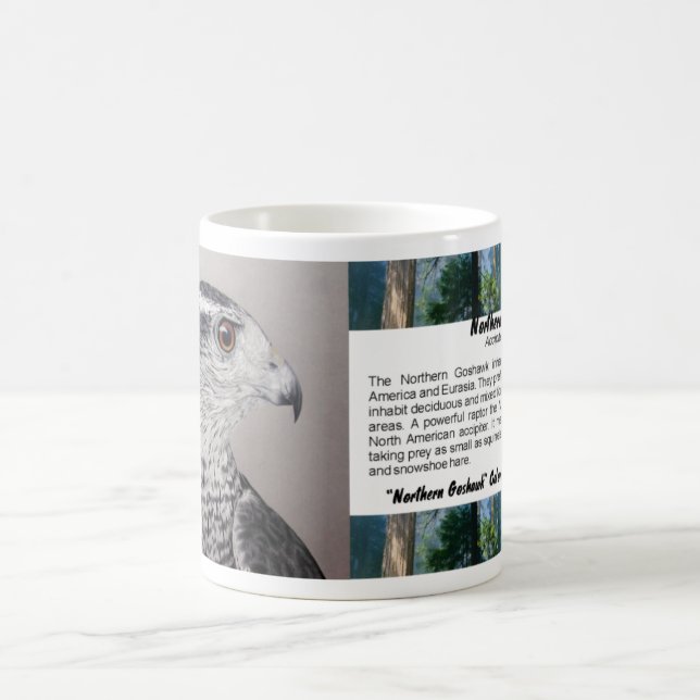 Goshawk mug (Center)