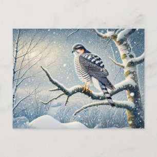 Goshawk on Birch in Winter Holiday Postcard