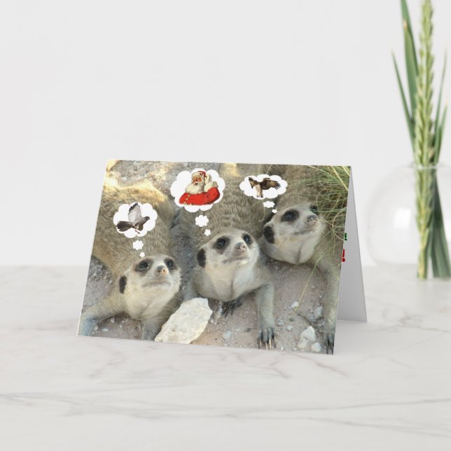 Goshawk? Santa! Eagle? - Seasons Greetings Holiday Card (Front)