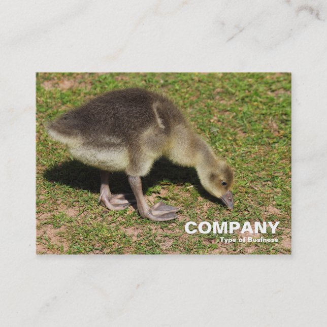 Gosling Business Card (Front)