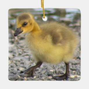 Gosling Photo Ornament 