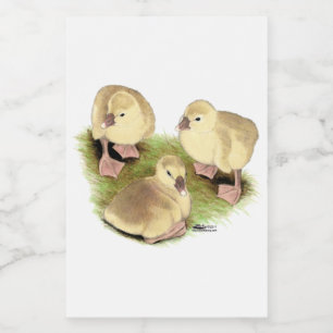Goslings:  Buff African Food Label