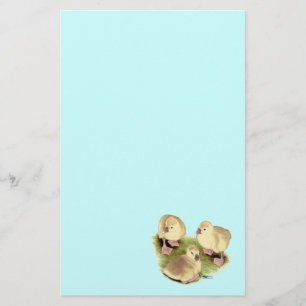 Goslings:  Buff African Stationery