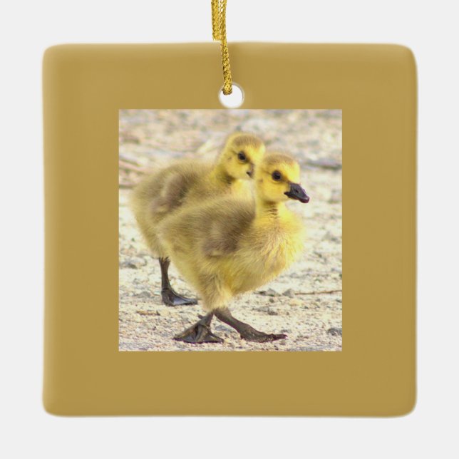 Goslings Photo Ornament  (Front)