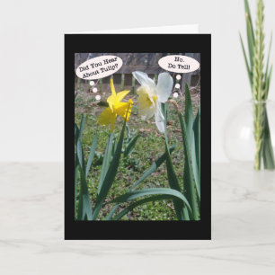 Gossiping Daffies Friendship Greeting Card