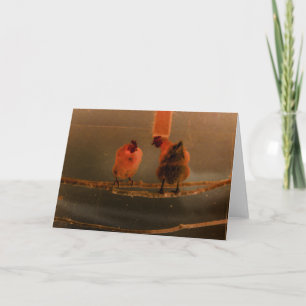 "Gossiping" Digitally Transformed Perched Chickens Card