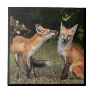 Got A Mint? Ceramic Tile