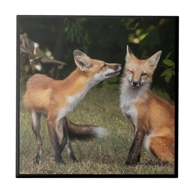 Got A Mint? Ceramic Tile (Front)