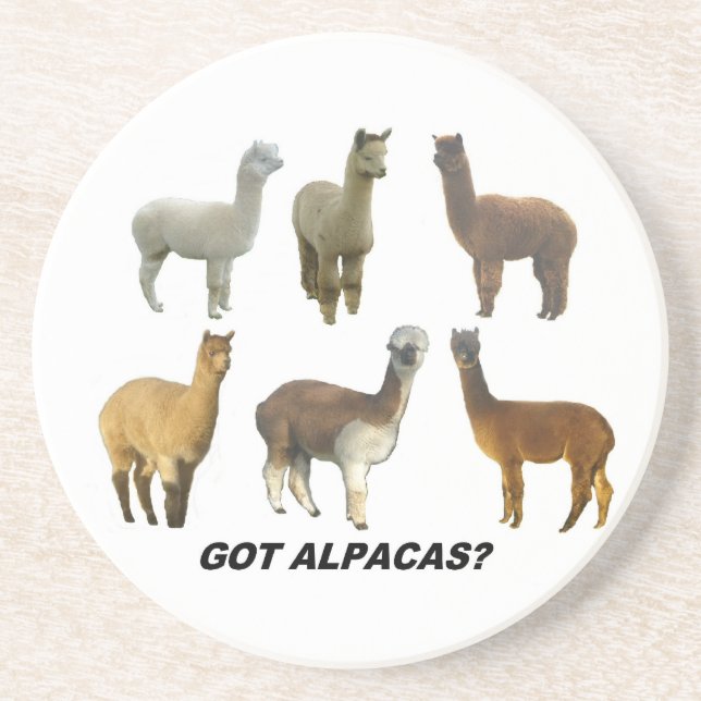 Got alpacas? coaster (Front)