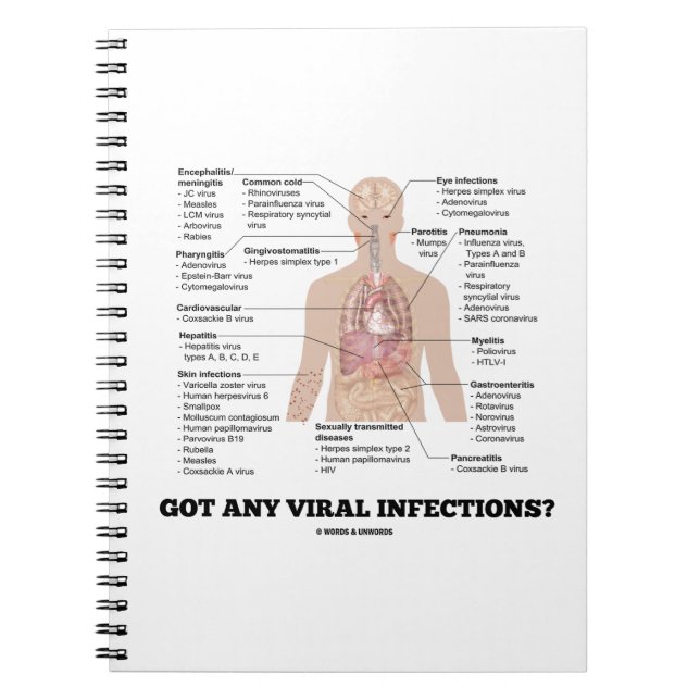 Got Any Viral Infections? Medical Anatomical Humou Notebook (Front)