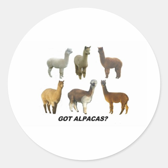 Got Apacas? Classic Round Sticker (Front)
