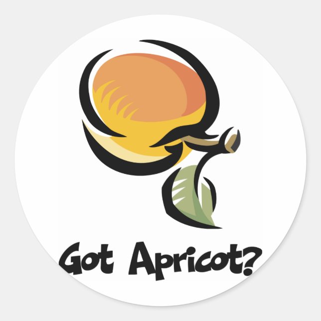 Got Apricot Classic Round Sticker (Front)
