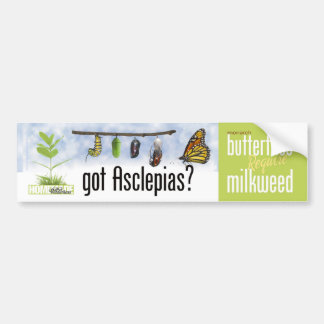 Got Asclepias (Milkweed)? Bumper Sticker
