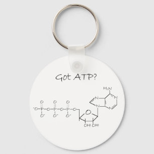 Got ATP? Key Ring