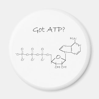 Got ATP? Magnet
