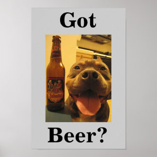 Got Beer? Poster