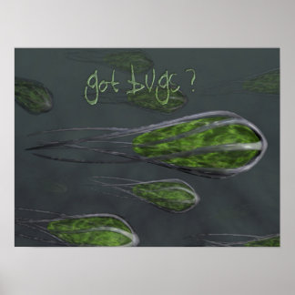 Got Bugs? Poster