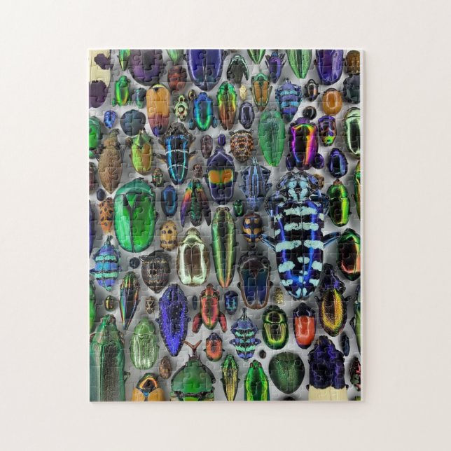 Got Bugs Puzzle (Vertical)