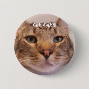 Got Cat 6 Cm Round Badge