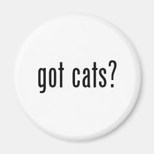 got cats? magnet