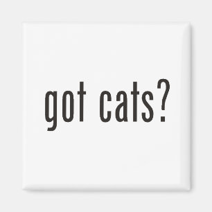 got cats? magnet