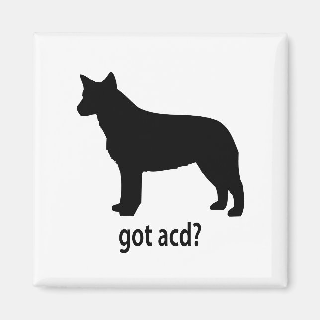 Got Cattle Dog Magnet (Front)