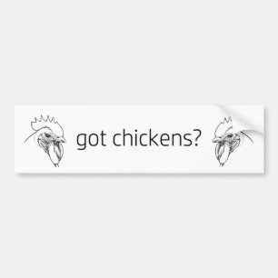 got chickens? roosters bumper sticker