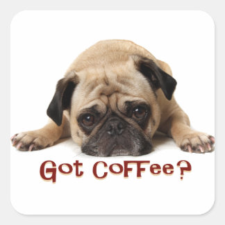 Got Coffee? Pug Sticker