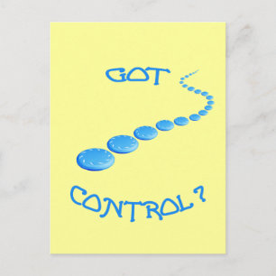 Got Control Frisbee Postcard