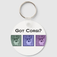 Got Corgi? Cute Corgis