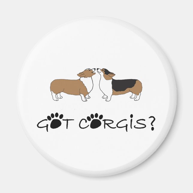 Got Corgis? Magnet (Front)