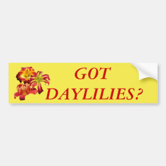 Got Daylilies? Bumper Sticker