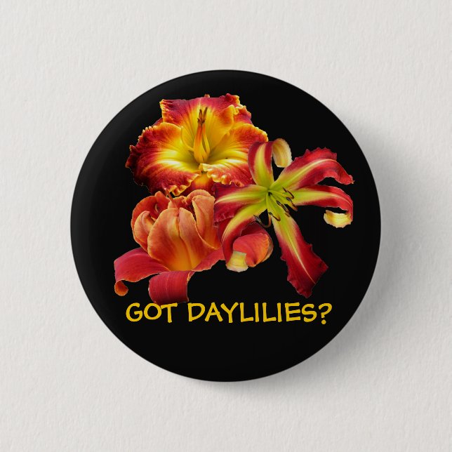 GOT DAYLILIES? BUTTON (Front)
