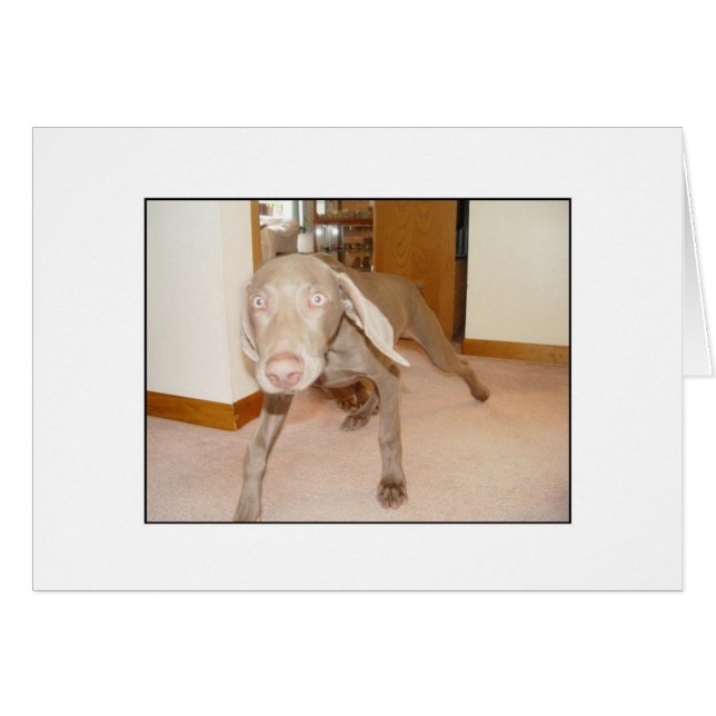 Got Decaf? (Front Horizontal)