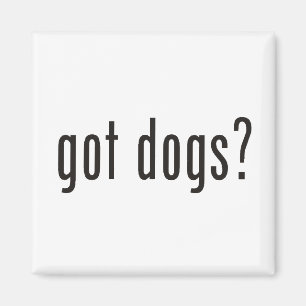 got dogs? magnet