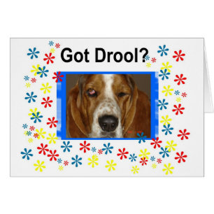 Got Drool