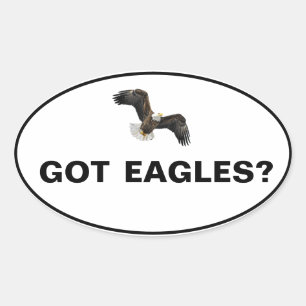 Got Eagles? Oval Sticker