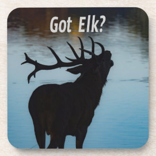 Got Elk? Funny Hunter Humour Coaster