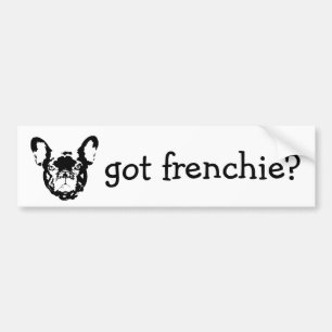 got frenchie bumpersticker bumper sticker