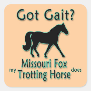 Got Gait? My Missouri Fox Trotting Horse Does Square Sticker